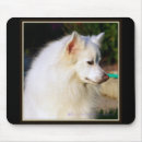 Search for eskimo mousepads Pets