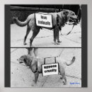 Search for animal cruelty posters Animals