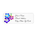 Search for hawaiian return address labels Rainbow