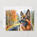 Search for germans postcards Canine