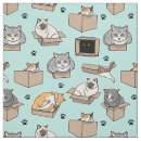 Search for housecat Feline