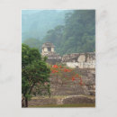 Search for palenque postcards Jungle