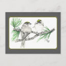 Search for kinglets Wildlife
