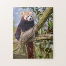 Search for red panda puzzles Tree
