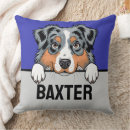 Search for australian shepherd cushions Cute
