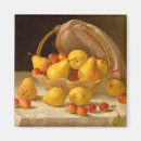 Search for pear magnets Still life