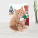 Search for maine christmas cards Cute