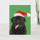 Search for black pug christmas cards Dog lover