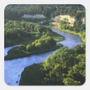Search for nwr stickers Usa