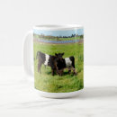Search for galloway cow mugs Cows