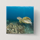 Search for sea green badges Nature