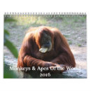Search for monkey calendars Primates