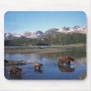 Search for predator mousepads Wildlife