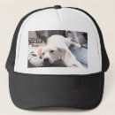 Search for black labrador hats Funny