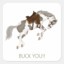 Search for paint pony stickers Stable