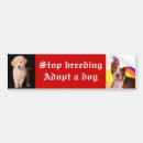 Search for dog breed bumper stickers Pitbull