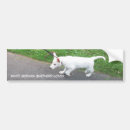 Search for german shepherd bumper stickers Alsatian