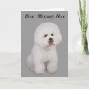 Search for bichons cards Puppies