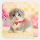 Search for cute cat pictures stickers Horizontal