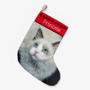 Search for red and black christmas stockings Cat
