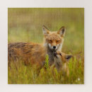 Search for red fox puzzles Foxes