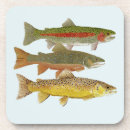 Search for fly fishing coasters Salmon