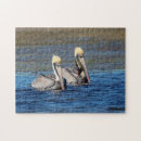 Search for pelican puzzles Animal