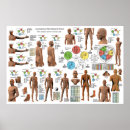Search for alternative posters Medicine