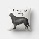 Search for be flat cushions Flatte