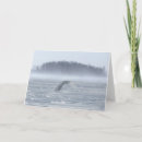 Search for jim cards Jaynes gallery
