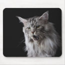 Search for two cats mousepads Feline