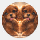 Search for spaniel stickers Puppy