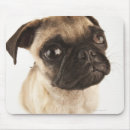 Search for breeding mousepads Nature