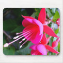 Search for salon electronics Floral