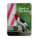 Search for headed magnets Bird