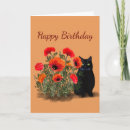 Search for shy cards Kitty