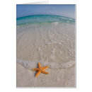 Search for fl note cards Starfish