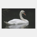 Search for white swan stickers Cute
