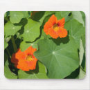 Search for edibility mousepads Colourful
