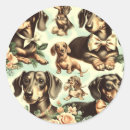 Search for vintage dachshund stickers Puppy