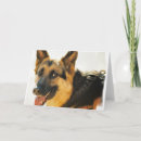 Search for german shepherd cards Canine