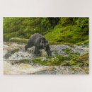 Search for black bear puzzles Cathy