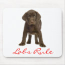 Search for chocolate lab electronics Puppy