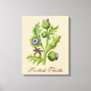 Search for scottish thistle posters Botanical