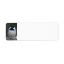 Search for chickadee return address labels Wildlife