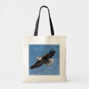 Search for broad accessories Avian