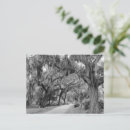 Search for forsyth postcards Spanish moss