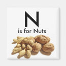 Search for these nuts magnets For kids