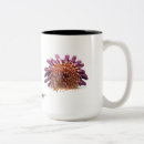 Search for sea urchin mugs Ocean