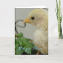 Search for chick 1 cards Cute